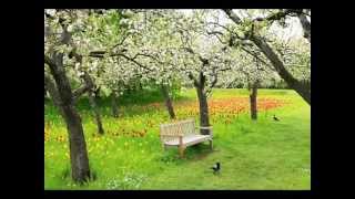 Sehnsucht nach dem Frühling - Komm lieber Mai und mache