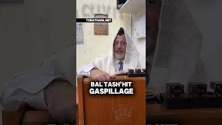 Le gaspillage… Bal Tash’hit ! 2 Halakhot par jour pour être ben olam aba