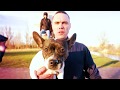 Skaffa Skandolero by InfectedRecordsNL Skaffa Skandolero by InfectedRecordsNL