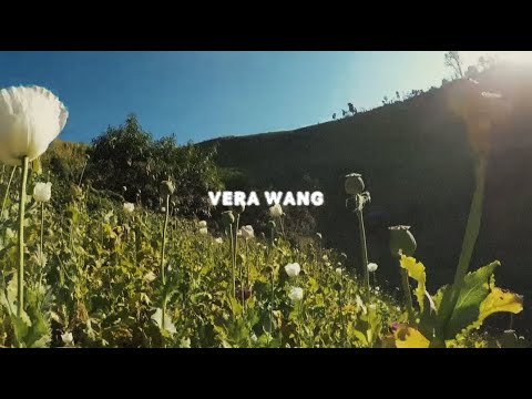 Video thumbnail for VERA WANG