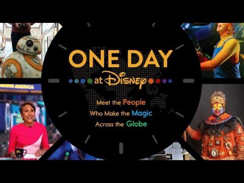 One Day at Disney Panel - The Koalition