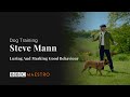 Steve Mann - Luring And Marking Good Behaviour - Dog Training - BBC Maestro