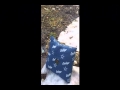 Winchester 270 VS Dallas Cowboys Pillow