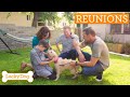 Brandon McMillan REACTS To Most Heartwarming Dog Rescue Lucky Dog Reunions