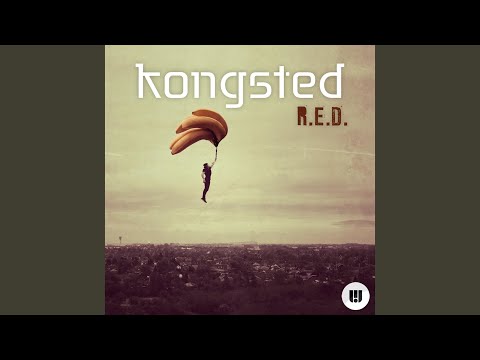 Video thumbnail for R.E.D (Snavs & Fabian Mazur Remix)
