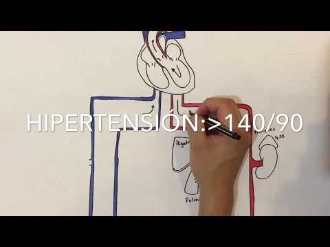 Farmacología: antihipertensivos