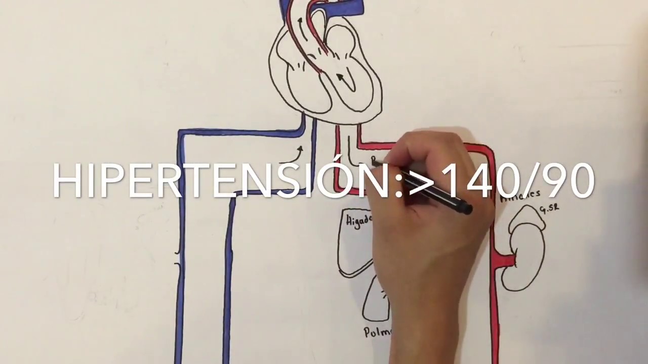 Farmacología: antihipertensivos