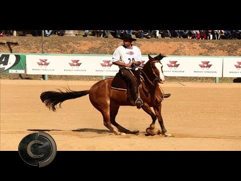 3º Lugar Fêmeas - Classificatória de Itu/SP 2017.