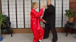 preview picture of video 'Forest Rock Taiji Qigong, 24 Posture Yang Style Taiji Form, Lesson 8, Beginners level'