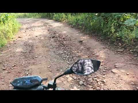 Aaj_Ki_Raat___Stree_2___Tamannaah_Bhatia___Sachin-Jigar___Madhubanti___Divya___Amitabh