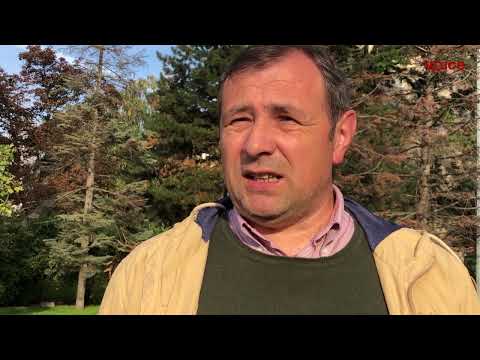 Smrad novosadske farme sa 280 svinja