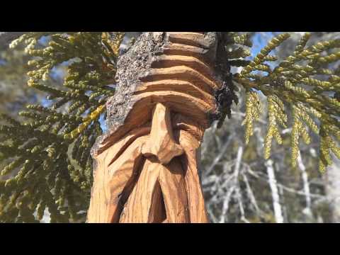 Guess who's coming (The Heikki Lunta Song/Conga Se Menne)