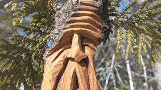 Guess who&#39;s coming (The Heikki Lunta Song/Conga Se Menne)