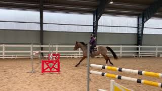 Video von Cingarella