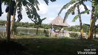 preview picture of video 'Cuộc sống bình yên ở làng quê'