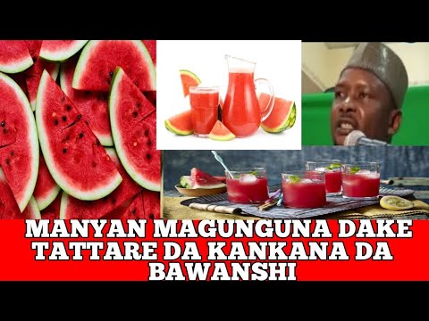 , title : 'manyan manyan magunguna dake tattareda kankana da bawashi by abdulwahab gwani bauci'