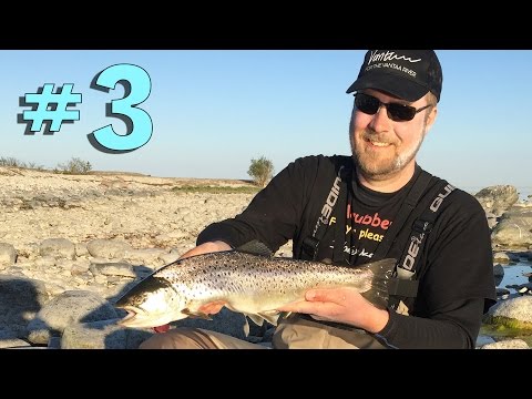 Näin kalastat meritaimenta rannalta | Gotlanti | Osa 3