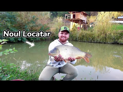 POPULARITY IN THE GARDEN POND WITH A SUPERB CARP SPECIMEN 🤩🐟