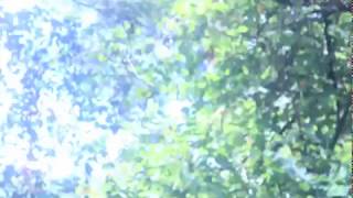 Boca de Groselha Music Video