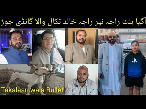 Top Class Bully Breed Dog Name Bullet Owner Raja Nayyar Raja Khalid Against Jogi Naiya Wala 17-12-23