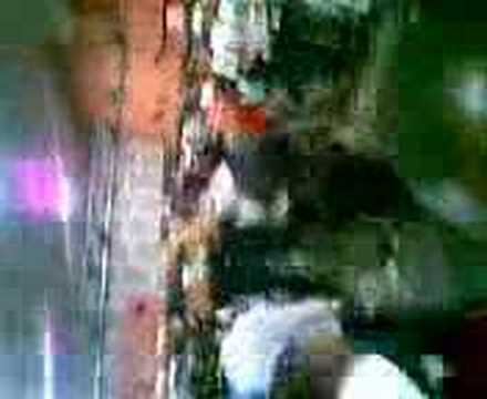 Henrique no baile de corredor do ES.