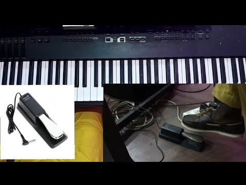Learn how to use the sustain pedal effectively on pianos, strings, pads, and organ