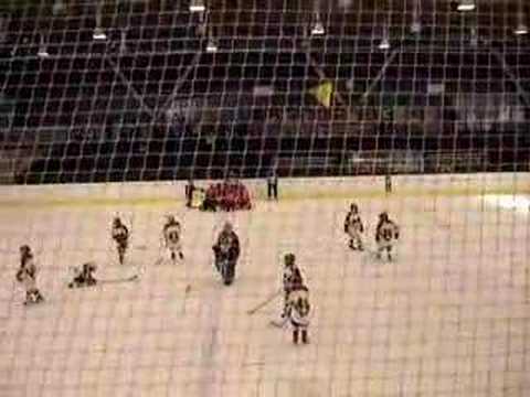 Moskito B final of the match Servette 5 Forward 6