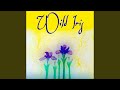 Wild Iris