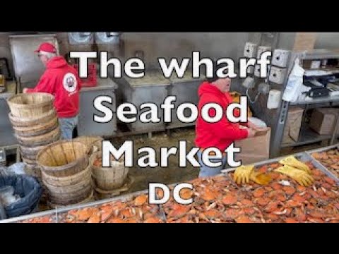 Municipal fish market the wharf Washington, DC