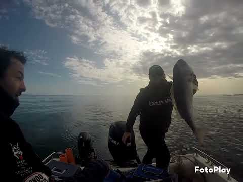 traina con il vivo al dentice.Doppio strike!!