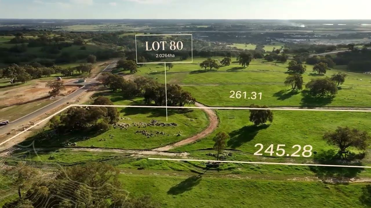Lot 80 360° video