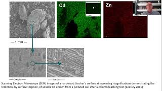 Biochars’ potential role in the remediation, revegetationand restoration of contaminated soils