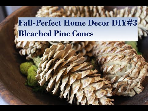 download lagu mp3 mp4 Bleached Decor, download lagu Bleached Decor gratis, unduh video klip Bleached Decor