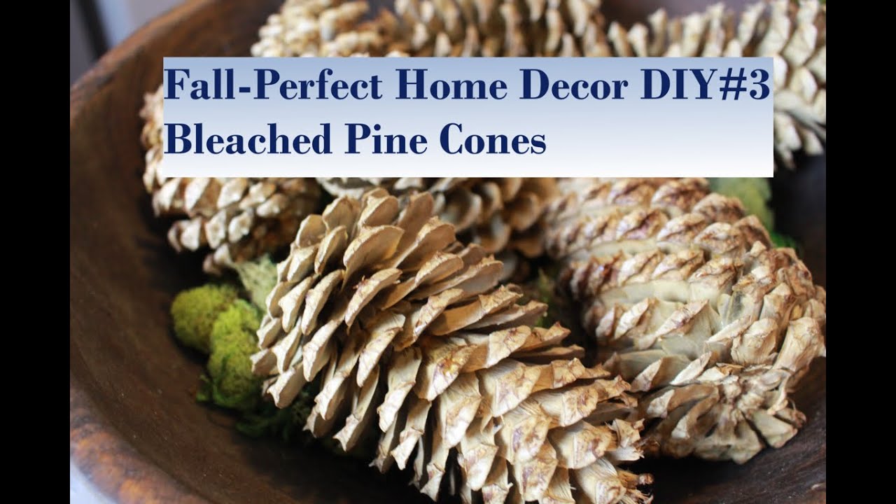 Fall-Perfect Home Decor DIY#3 Bleached Pine Cones