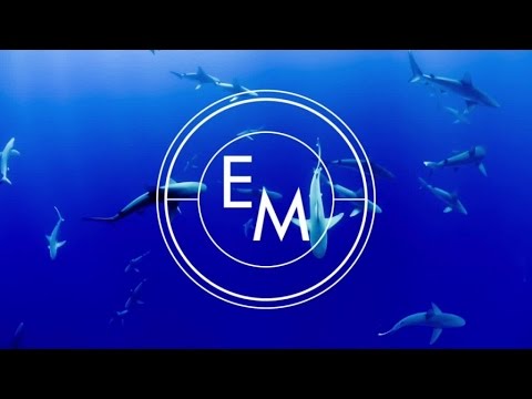 Mark Mackenzie Ft. Lauren L'aimant - Swell