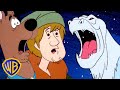 Scooby Doo Where Are You Snow Beasts Wbkids​
