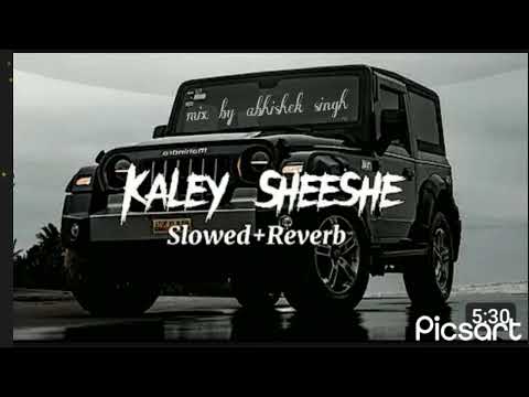 Kaley Sheshe Song by Addy Nagar and Aniket Jain