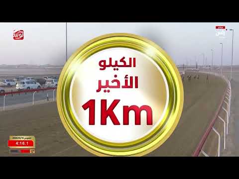 ش 1 (منحاف) لـ احمد سهيل بن بطي العيالي 9:06:54 ، مهرجان ختامي الوثبة 2026/05/14 إيذاع