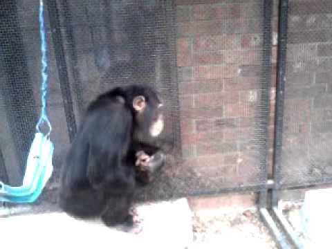 Out Briefly in the Storm