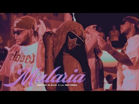 Mestizo Is Back & La Perversa - MALARIA  (Video Oficial)