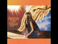 14 Clama Brasil Fernanda Brum CD Apenas Um Toque