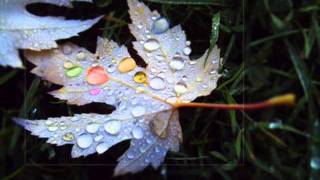 Kottonmouth Kings-.Positive Vibes