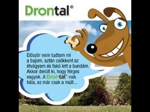 paraziták Belgorodban melyik parazitaellenes szer jobb
