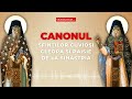 Canonul Sfinților Cuvioși Cleopa și Paisie De La Sihăstria Pr Vlad Roșu