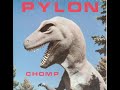 Pylon - Chomp (FULL LP - 1983 - DB Recs - Pop Rock/New Wave/Alternative Rock/Post Punk)