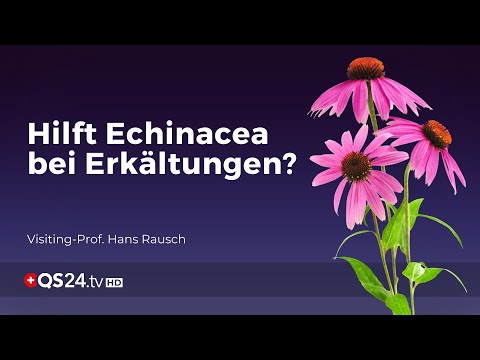 Hilft Echinacea bei Erkältungen? | Prof. Hans Rausch | Mythos | QS24 Gesundheitsfernsehen