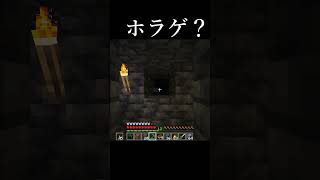 なんだこのバケモン怖すぎｗｗｗ 【マインクラフト】#マイクラ