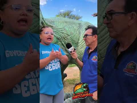 Luzia Raíssa vice-diretora Nova palmeira