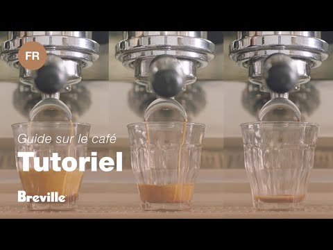 miniature vidéo