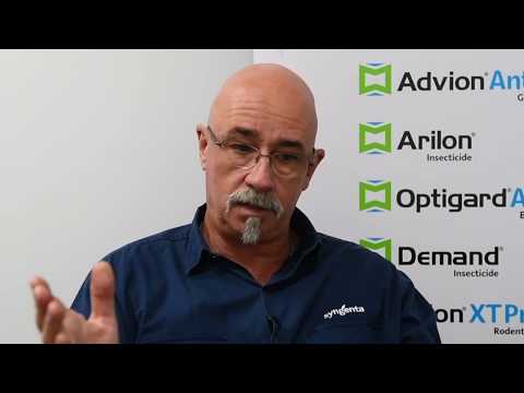 Pest Talk: Technical Tips - Treating German cockroaches in commercial situations